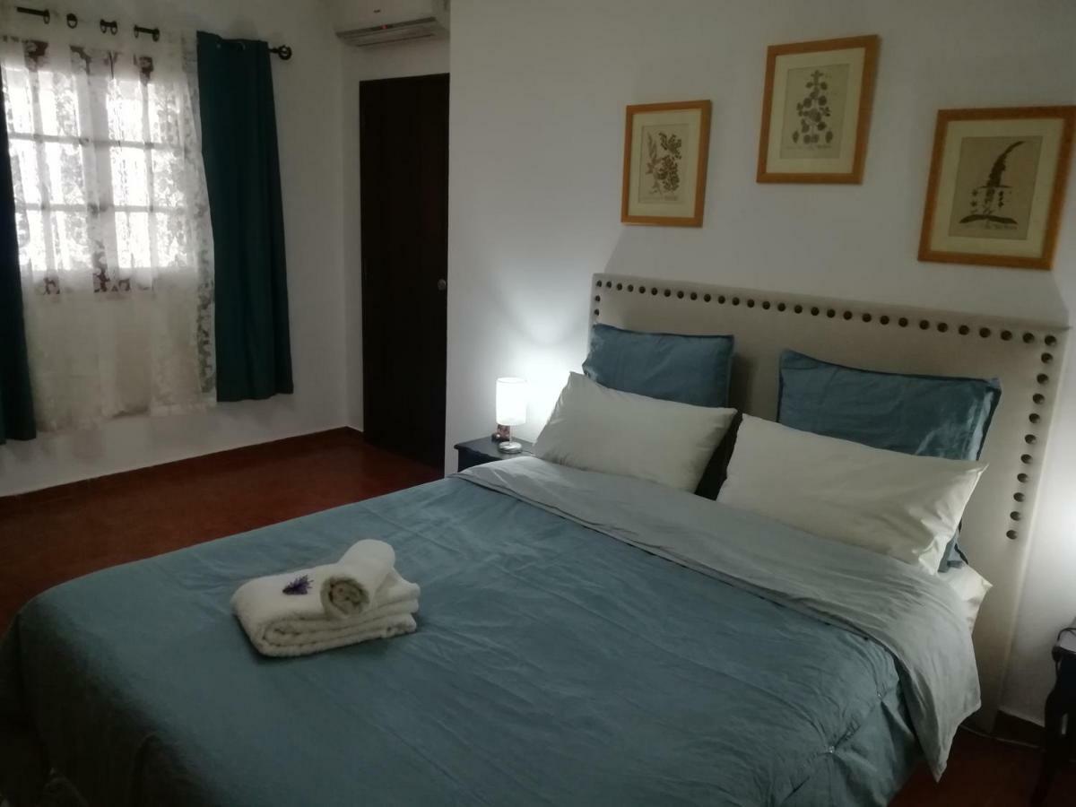 A Casa da avó Custodinha Vila Bias do Norte Exterior foto